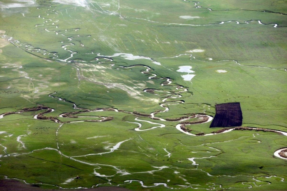 Ardahan'da menderesler görüntülendi
