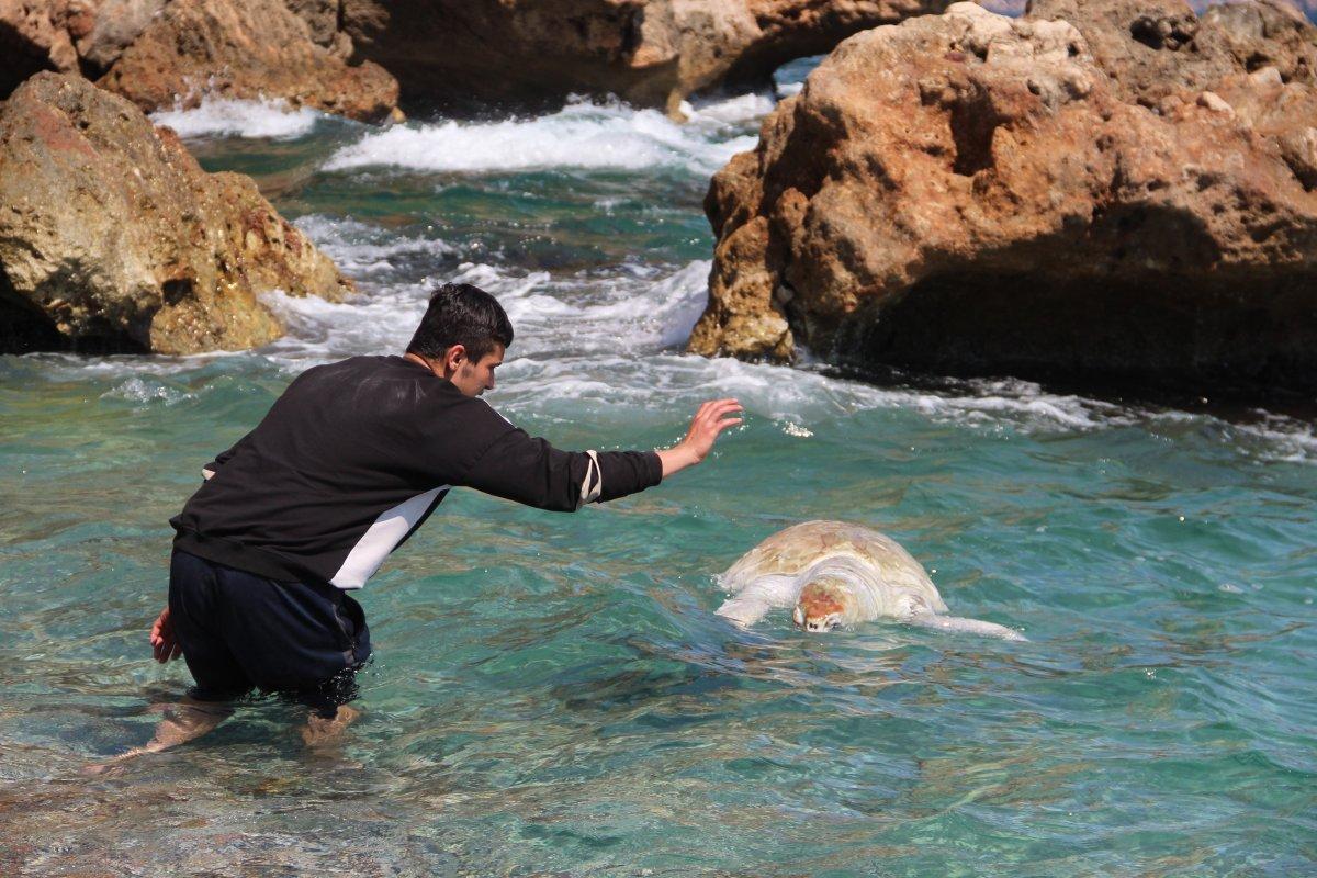 Antalya'da caretta caretta ölüsü Konyaaltı sahiline vurdu