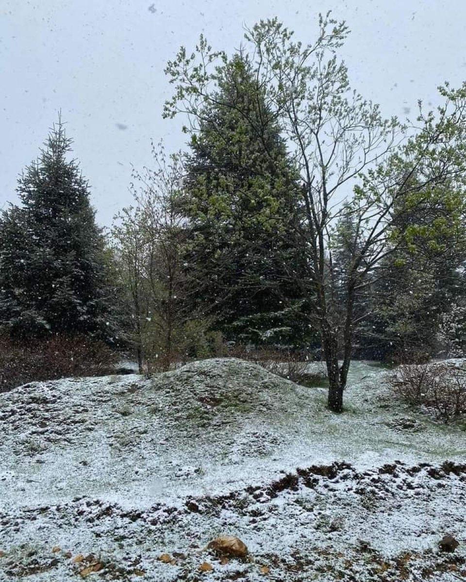 Ordu’da yüksek kesimlere mayıs karı düştü