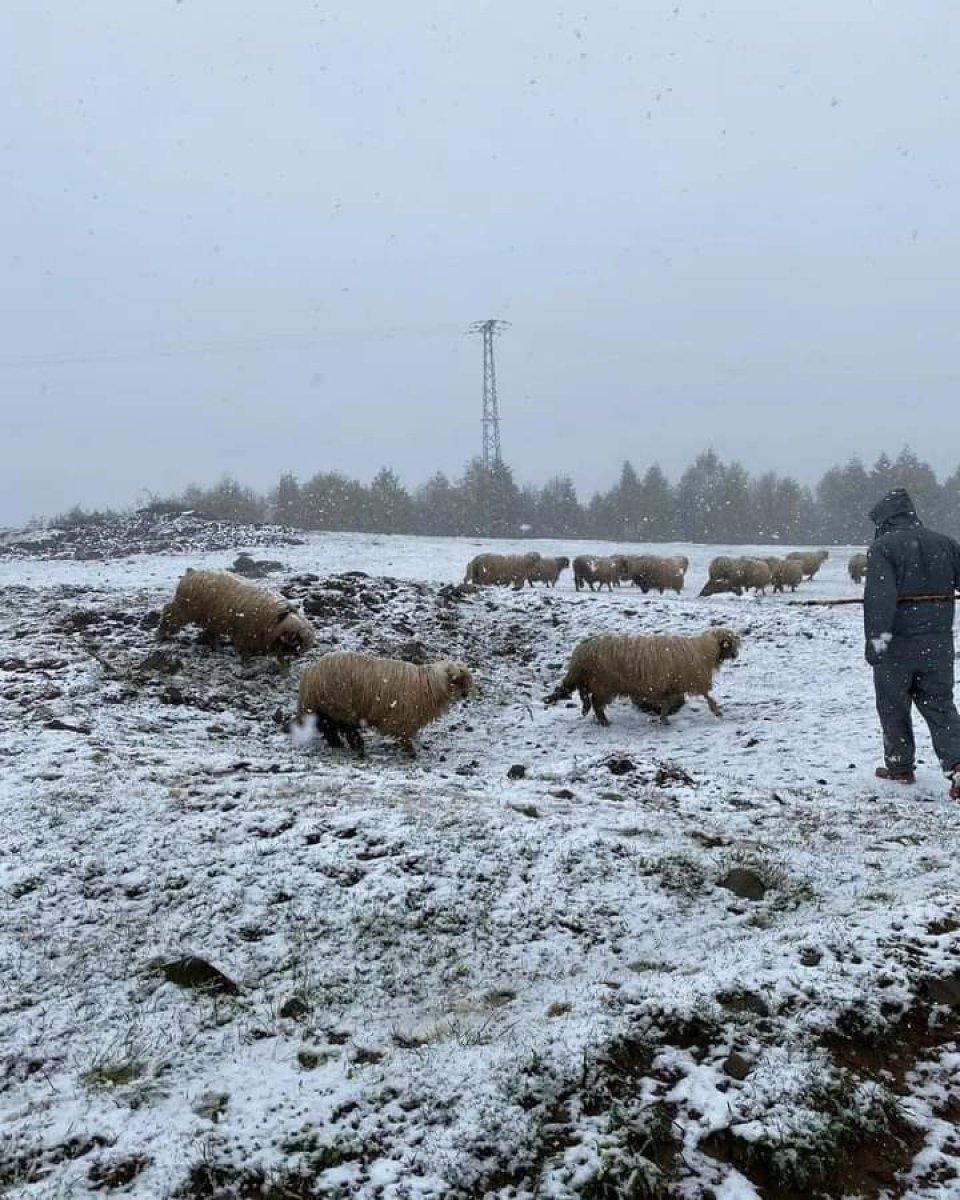Ordu’da yüksek kesimlere mayıs karı düştü