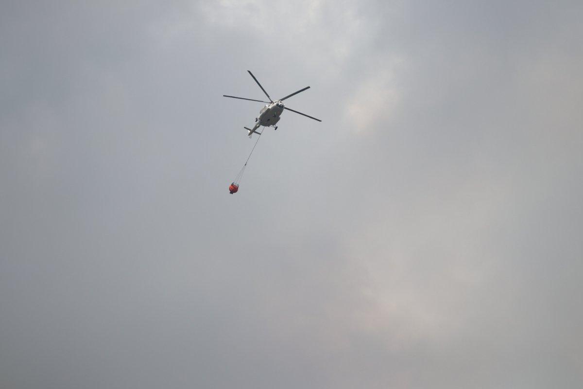 Alanya'daki orman yangını kontrol altına alındı