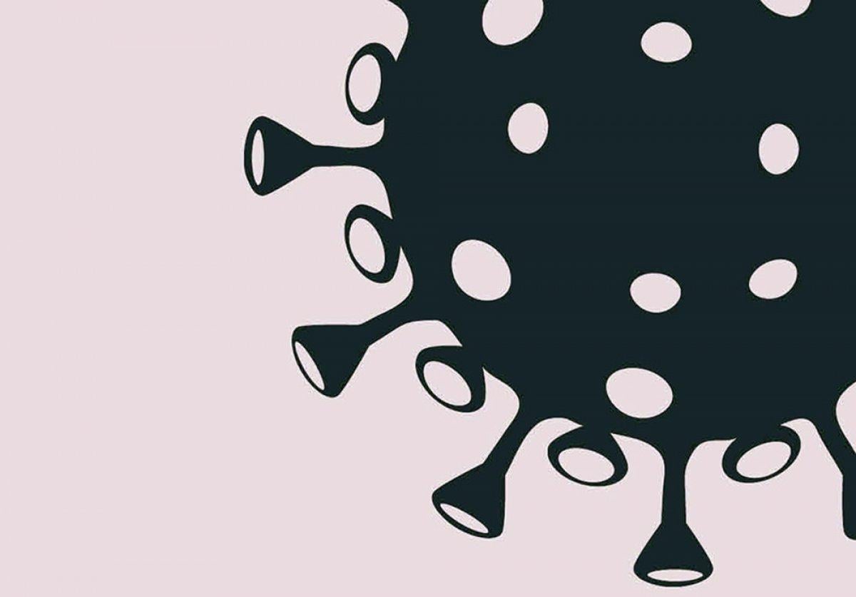 Maymun virüsü dünyada yayılıyor: 4 ülkede daha görüldü