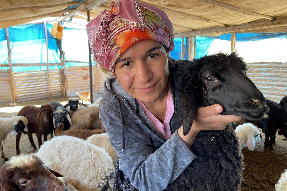 Elazığ'da devlet desteği ile sürü sahibi oldu, köye yerleşti