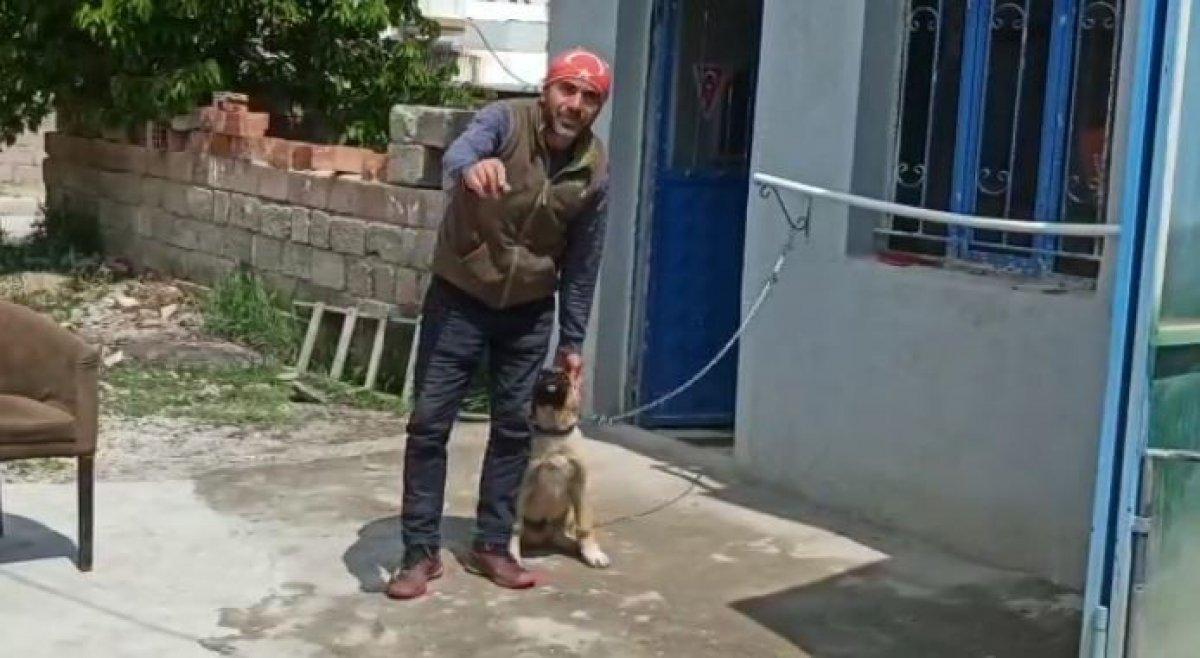 Afyonkarahisar'da köpek havlaması paniğe sebep oldu