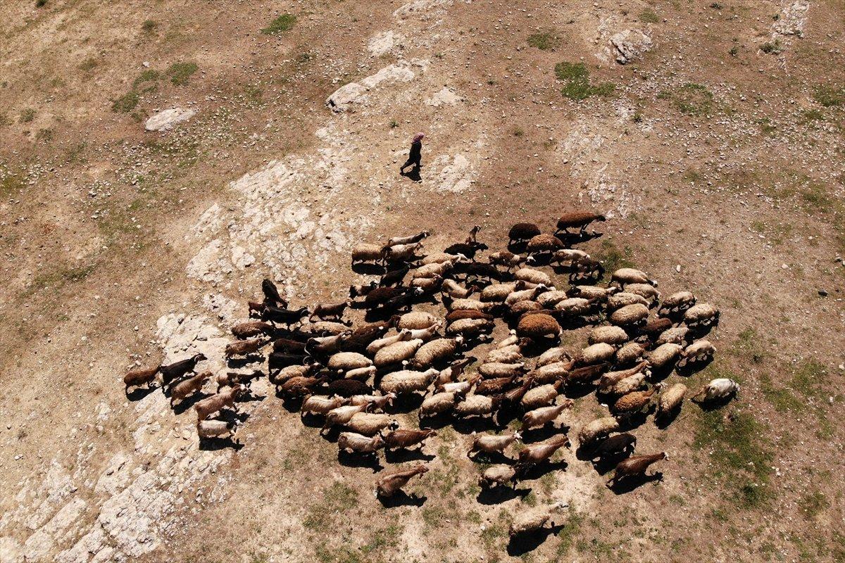 Elazığ'da devlet desteği ile sürü sahibi oldu, köye yerleşti