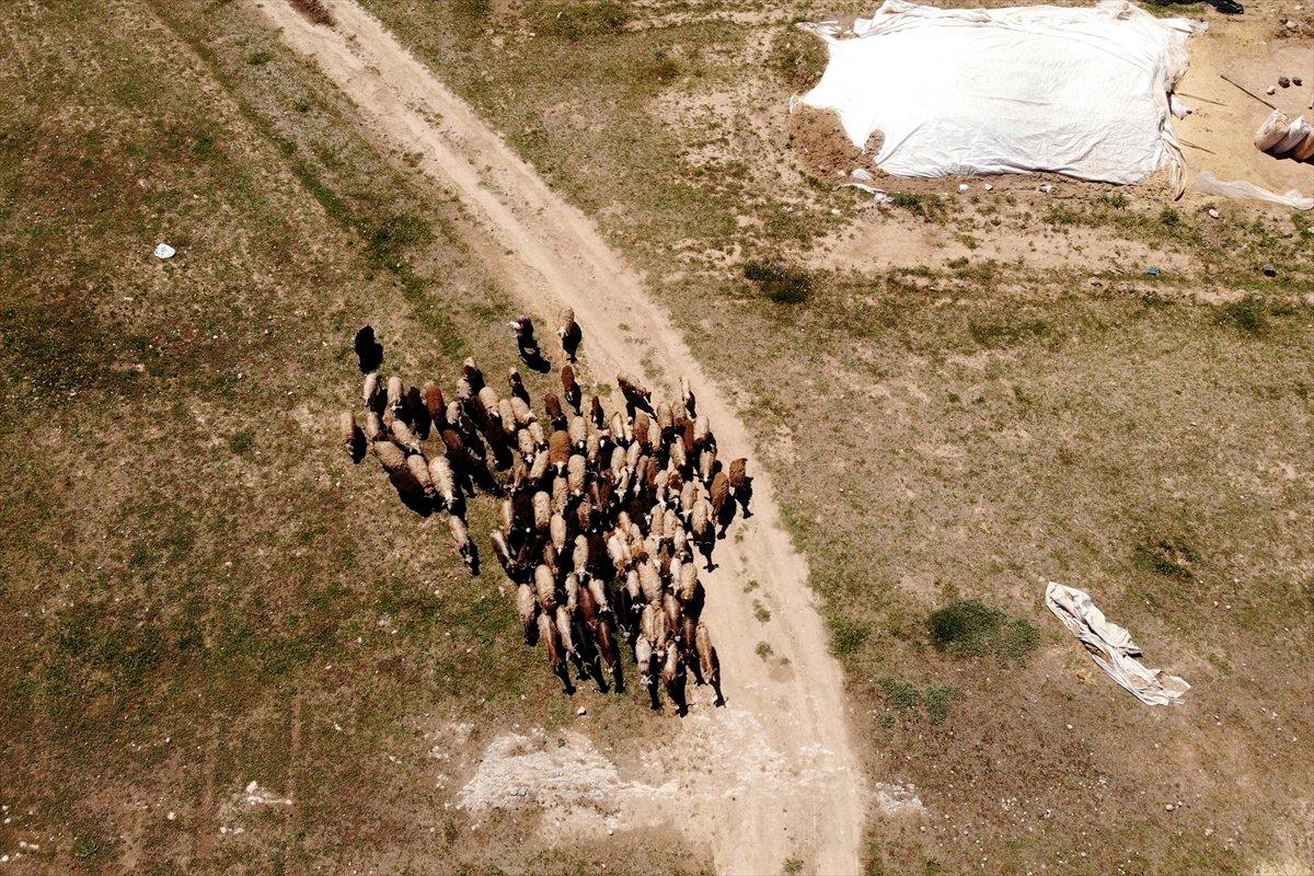 Elazığ'da devlet desteği ile sürü sahibi oldu, köye yerleşti