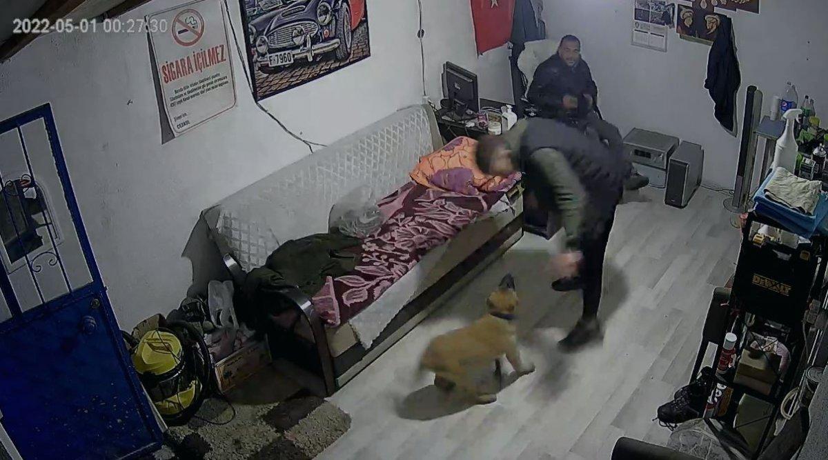 Afyonkarahisar'da köpek havlaması paniğe sebep oldu