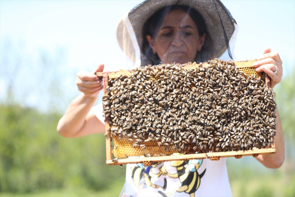 Arılar Varsa Yarınlar Var projesiyle çocuklar ve yetişkinler farkındalık kazanıyor