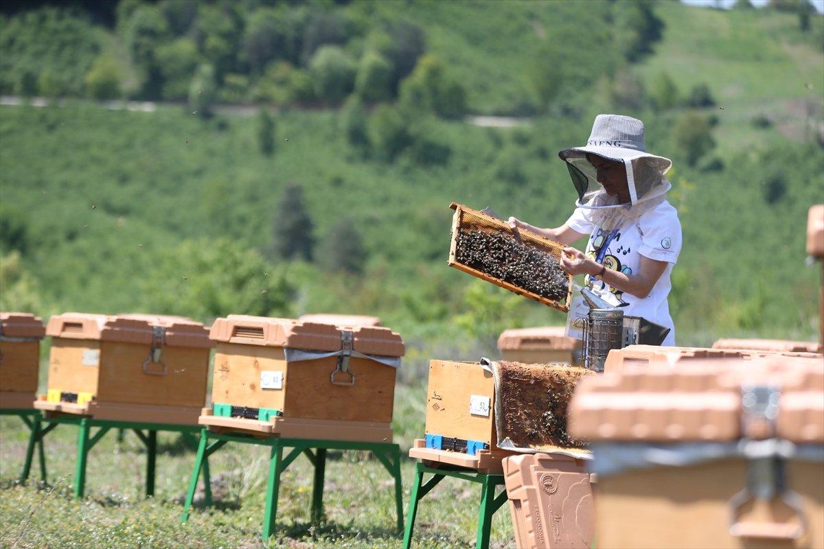 Arılar Varsa Yarınlar Var projesiyle çocuklar ve yetişkinler farkındalık kazanıyor