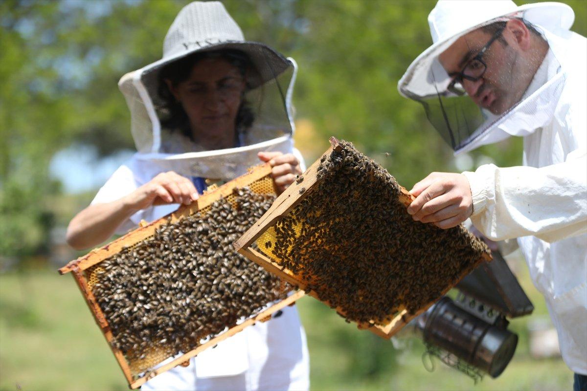 Arılar Varsa Yarınlar Var projesiyle çocuklar ve yetişkinler farkındalık kazanıyor