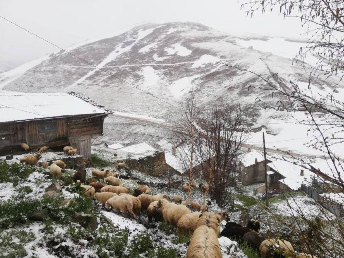 Bayburt'un yüksek kesimlerine kar yağdı
