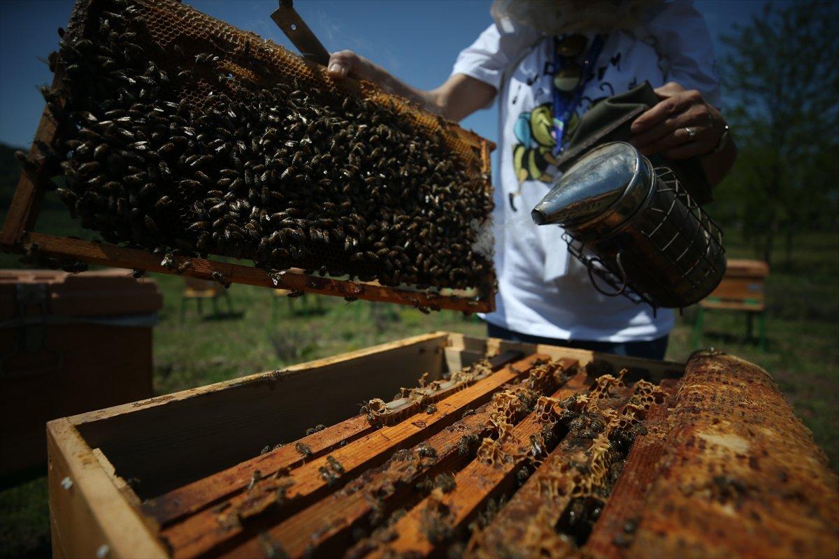 Arılar Varsa Yarınlar Var projesiyle çocuklar ve yetişkinler farkındalık kazanıyor
