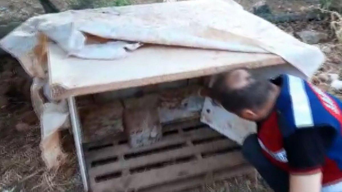 Antalya'da köpek kulübesinde uyuşturucu bulundu