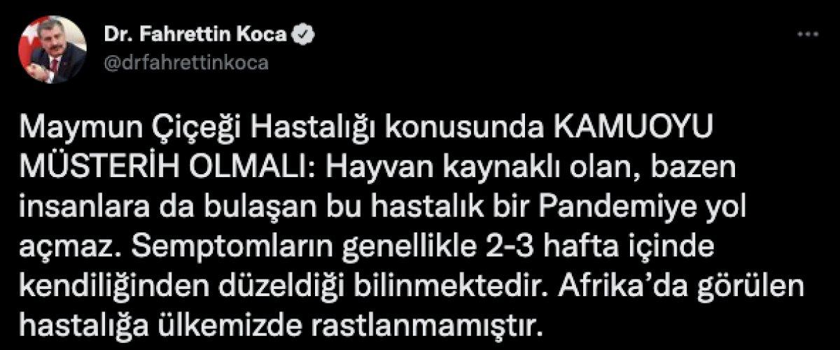 Fahrettin Koca: Maymun çiçeği pandemiye yol açmaz