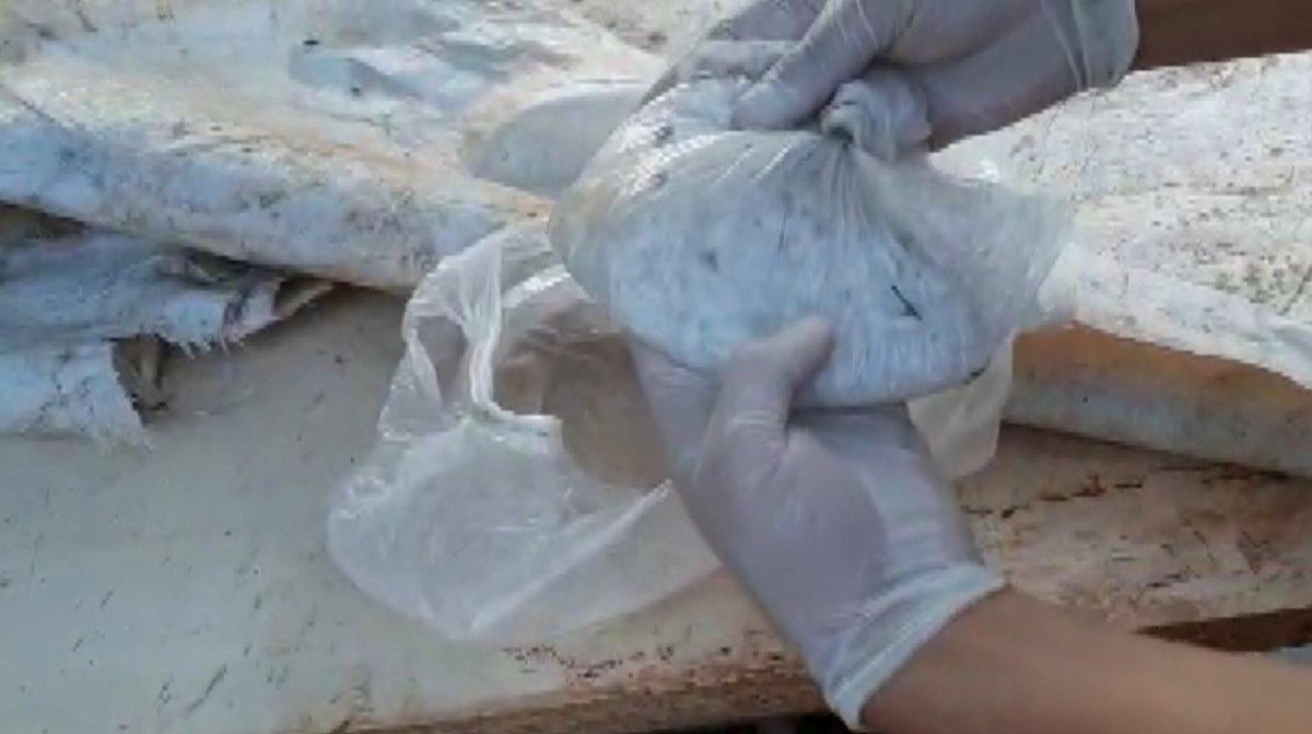 Antalya'da köpek kulübesinde uyuşturucu bulundu