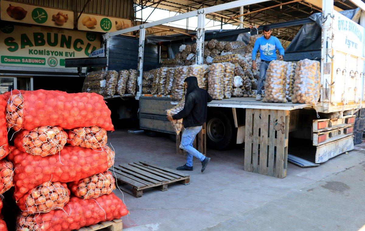 Adana'da hasat başladı: Fiyatlar yarı yarıya düşecek