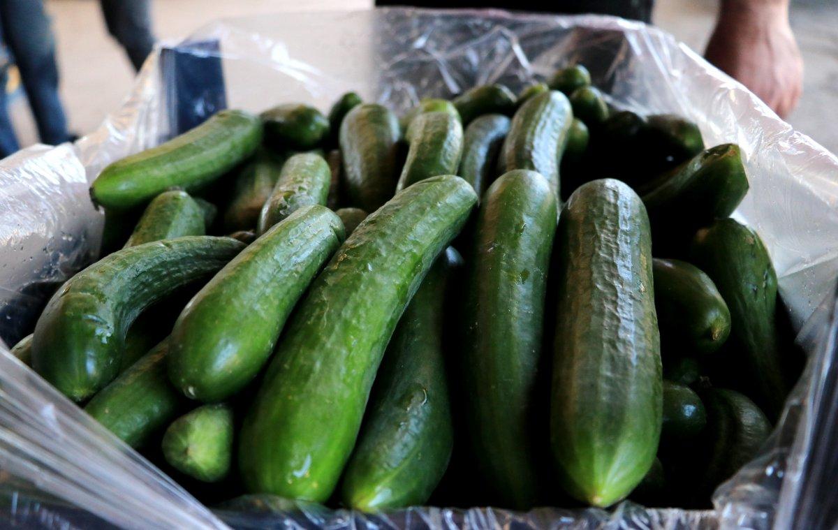 Adana'da hasat başladı: Fiyatlar yarı yarıya düşecek