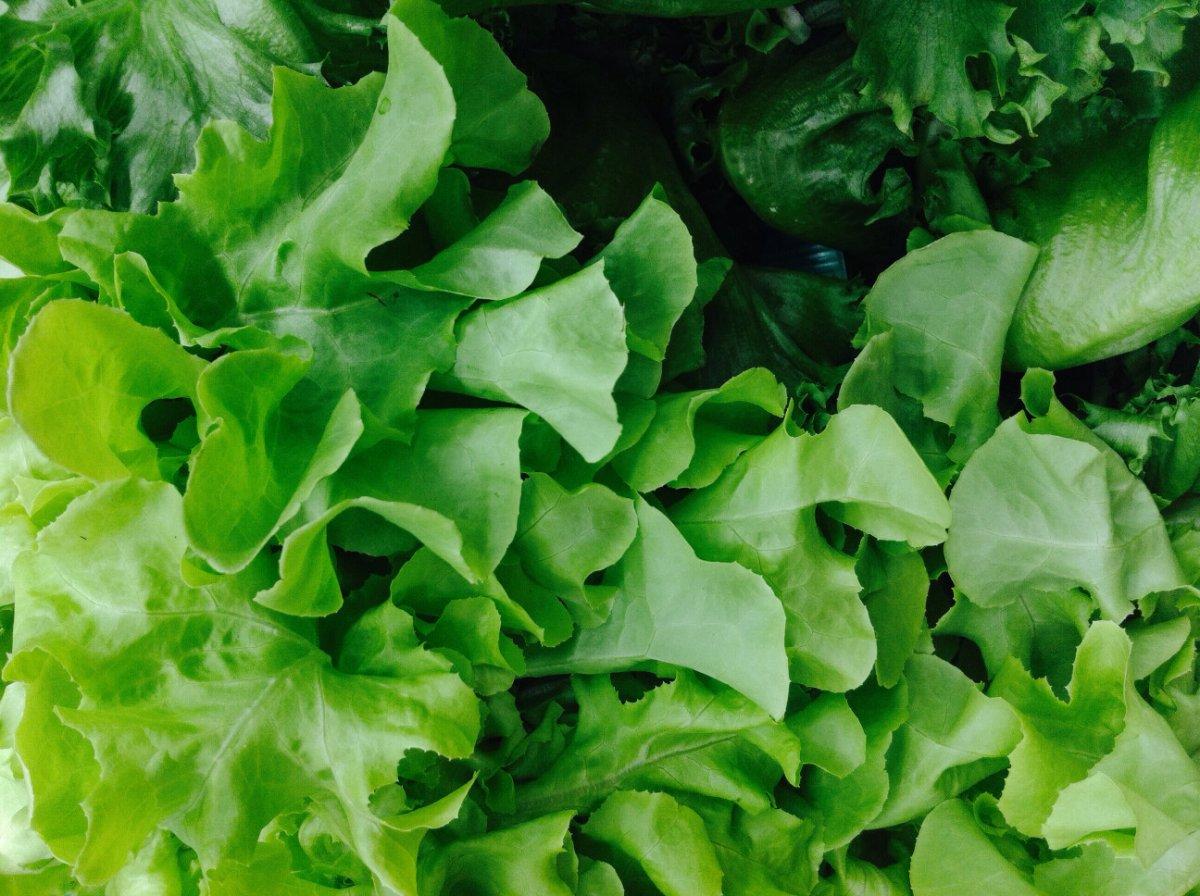 Yaşlanmayı geciktiren 10 besin