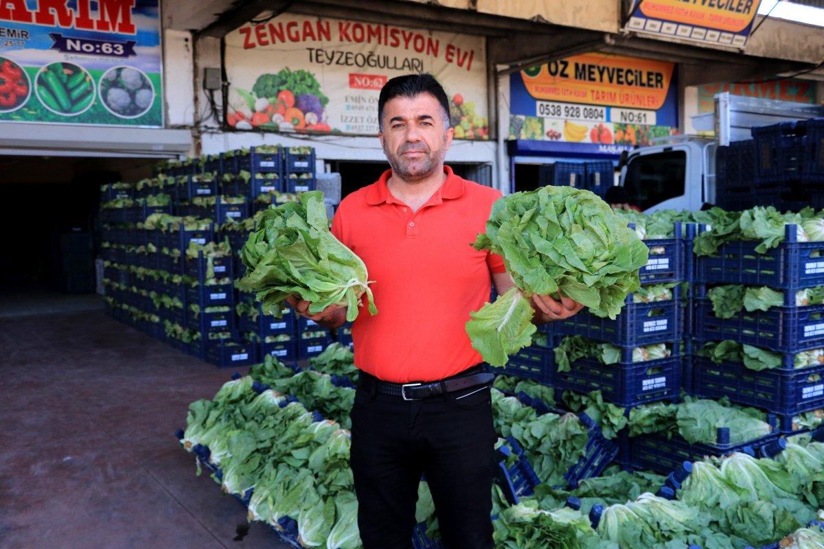 Adana'da hasat başladı: Fiyatlar yarı yarıya düşecek