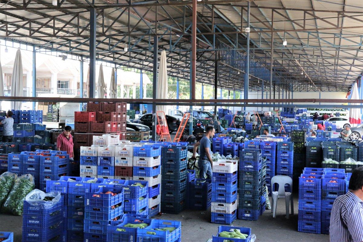 Havalar ısındı, sebze fiyatları yarı yarıya düştü