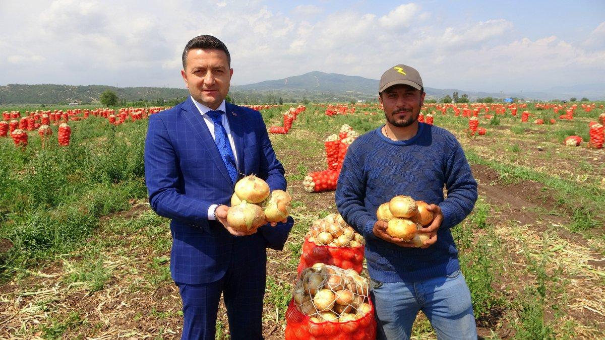 Osmaniye'de soğan, çiftçinin yüzünü güldürdü