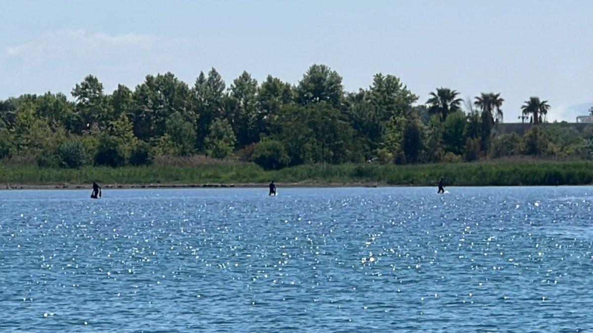 Kocaeli'de midye avcıları polis görünce kaçmaya çalıştı