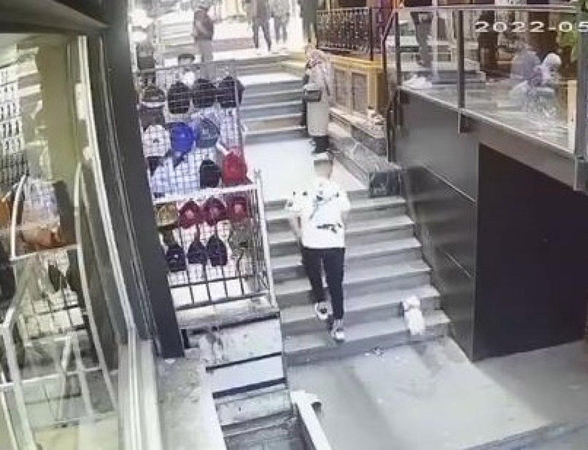 Fatih'te kedi, köpek ve sahibine saldırdı