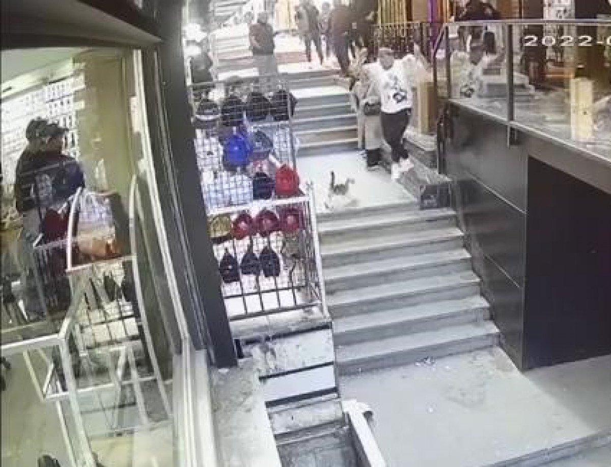 Fatih'te kedi, köpek ve sahibine saldırdı