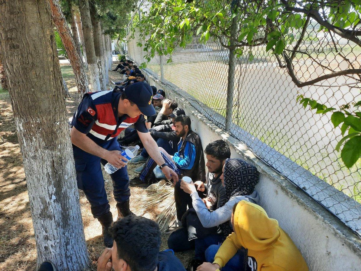 İzmir'de 237 kaçak göçmen yakalandı