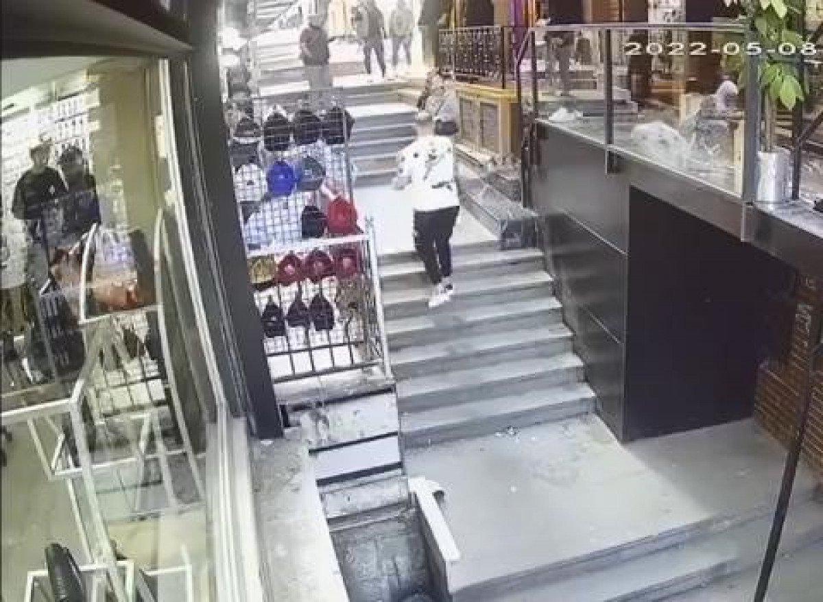 Fatih'te kedi, köpek ve sahibine saldırdı