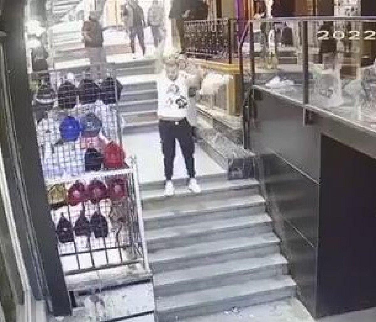 Fatih'te kedi, köpek ve sahibine saldırdı