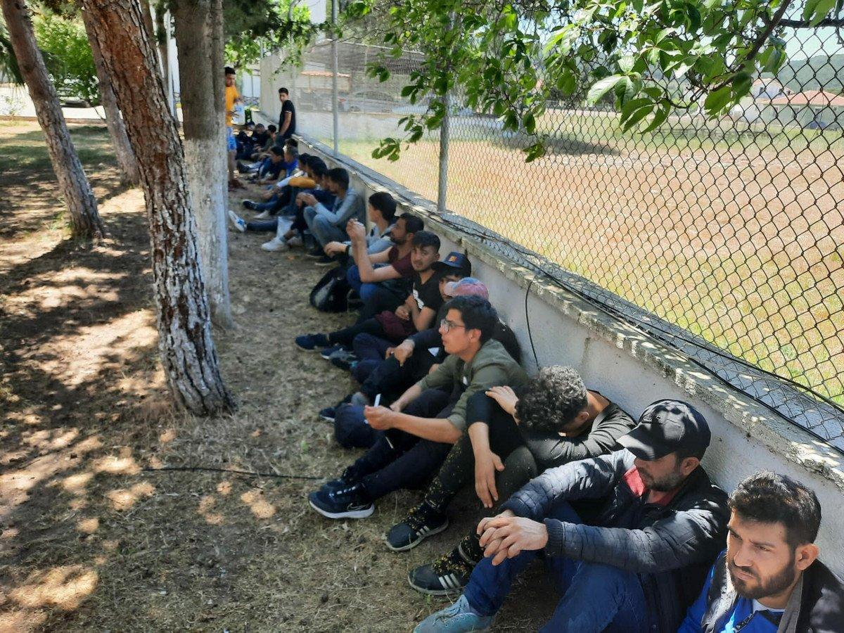 İzmir'de 237 kaçak göçmen yakalandı