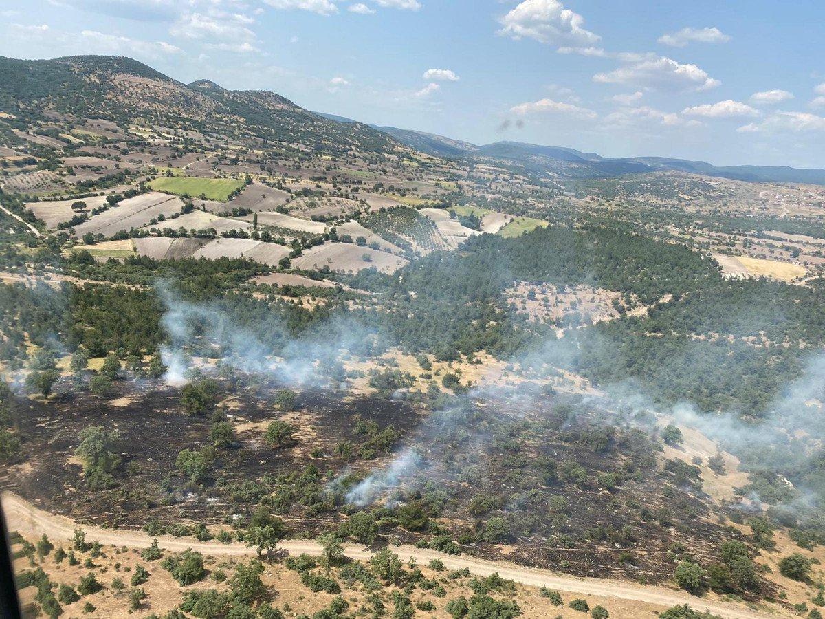 Manisa'da orman yangını çıktı