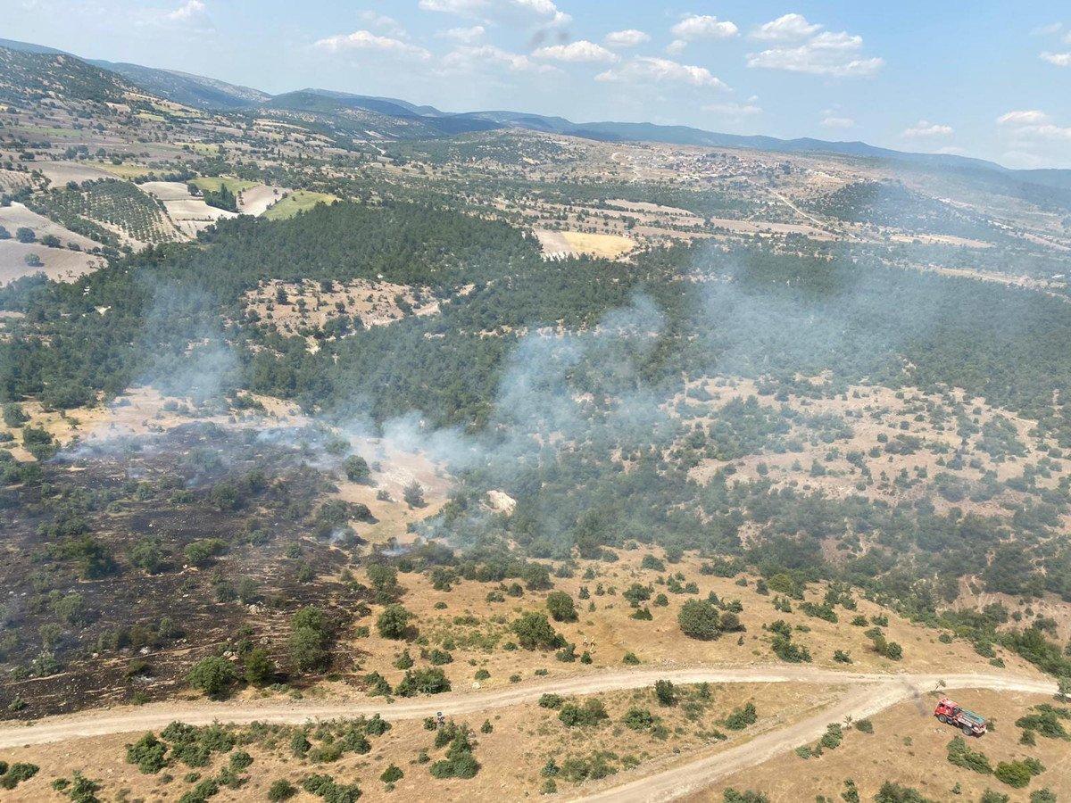 Manisa'da orman yangını çıktı
