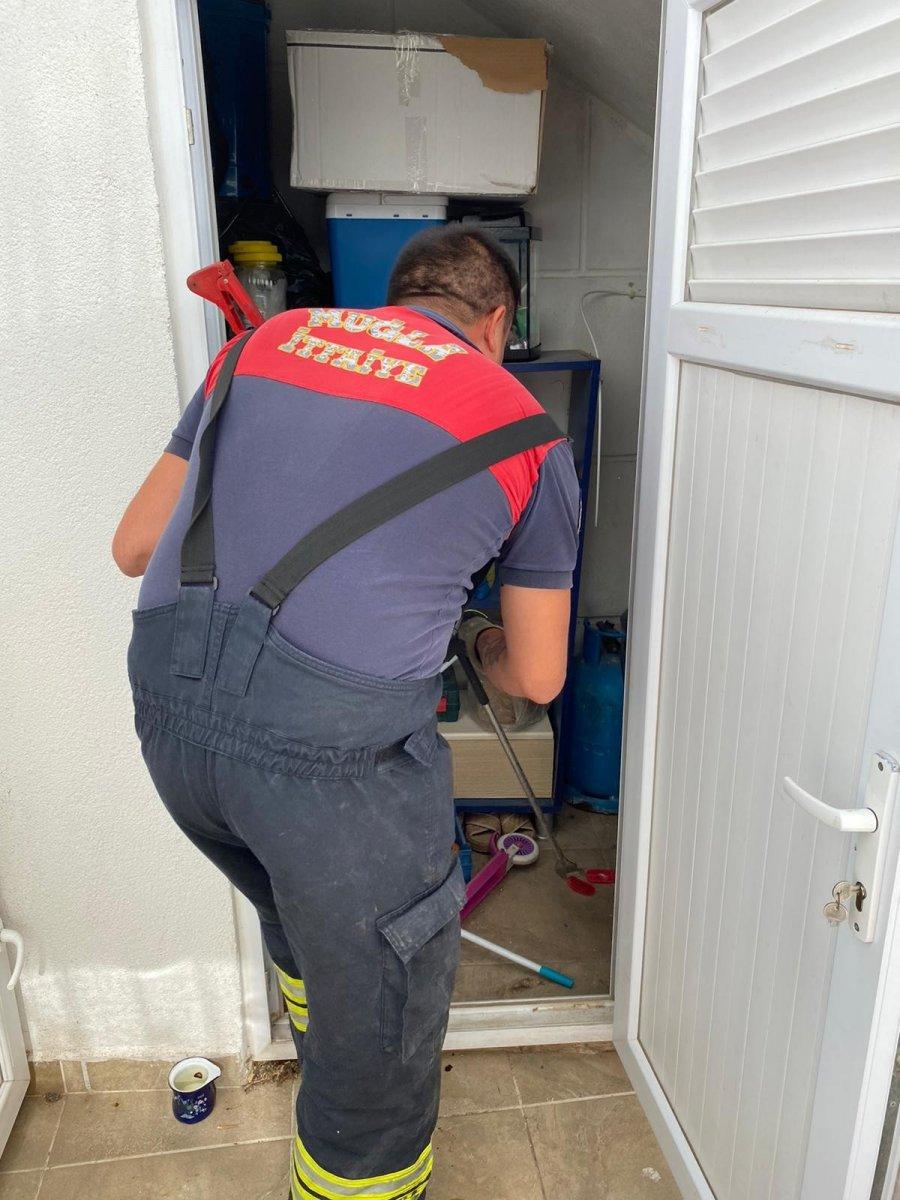 Bodrum'da evin deposundan yılan çıktı
