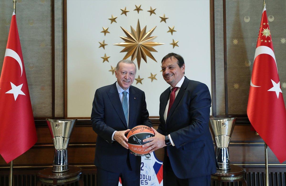 Cumhurbaşkanı Erdoğan, Anadolu Efes'i kabul etti