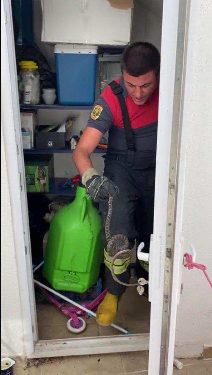 Bodrum'da evin deposundan yılan çıktı