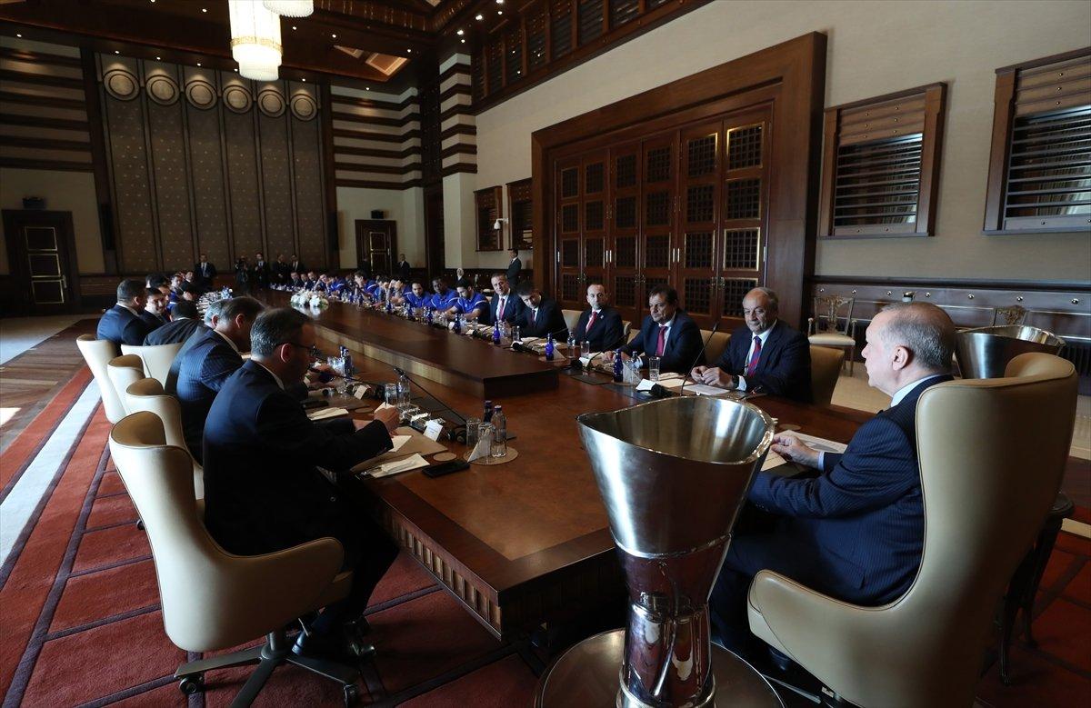 Cumhurbaşkanı Erdoğan, Anadolu Efes'i kabul etti