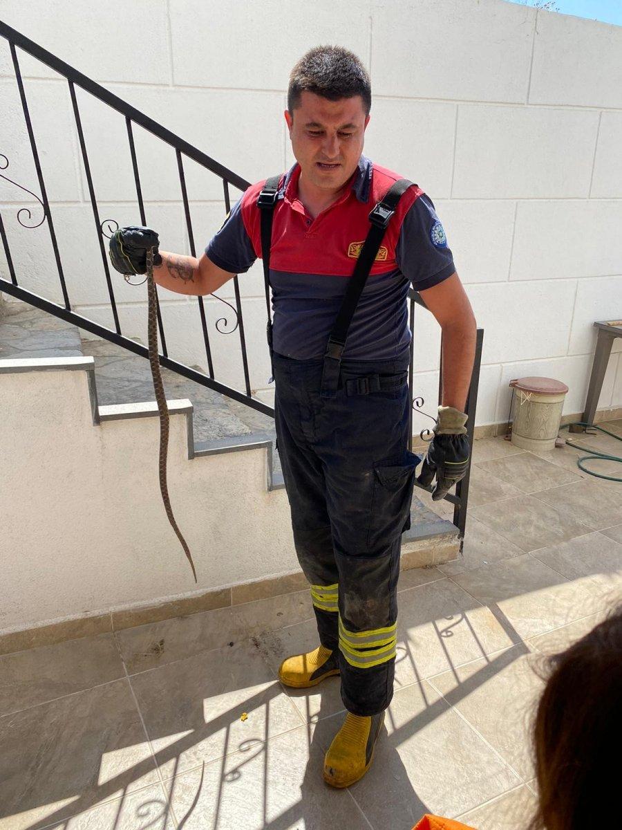 Bodrum'da evin deposundan yılan çıktı