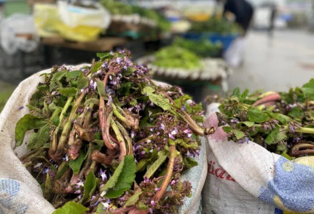 Tam mevsimi! Cesaret veriyor, idrar söktürüyor, öksürüğü şıp diye kesiyor, ağrılara şifa...