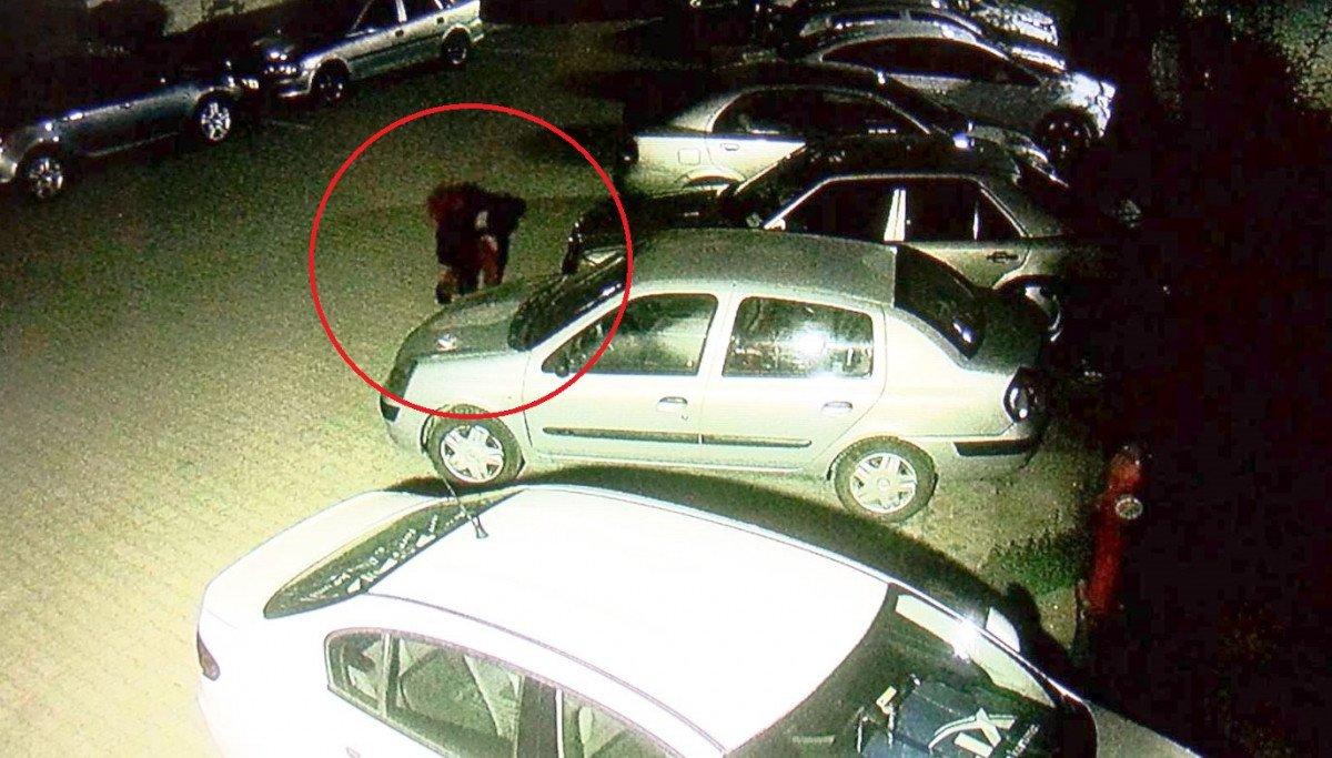 Ankara'da bakıcı kadından, patronunun otomobiline taşlı saldırı