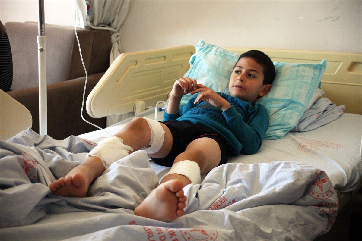 Bingöl'de 7 yaşındaki çocuk, bahçeye giren köpeklerin saldırısına uğradı