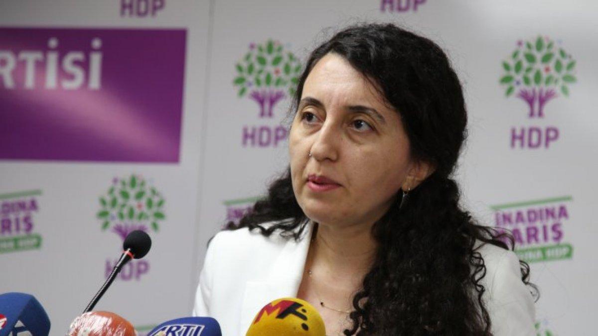 HDP'li Ebru Günay: TSK'nın operasyonları soykırım