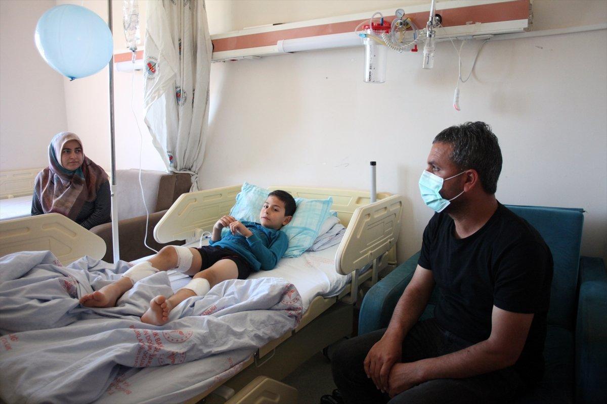 Bingöl'de 7 yaşındaki çocuk, bahçeye giren köpeklerin saldırısına uğradı