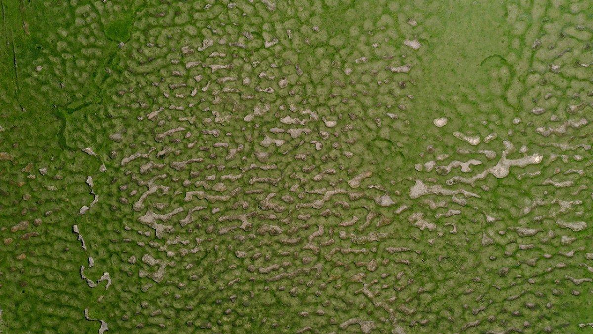 Sakarya'nın eşsiz güzelliği: Karagöl Yaylası