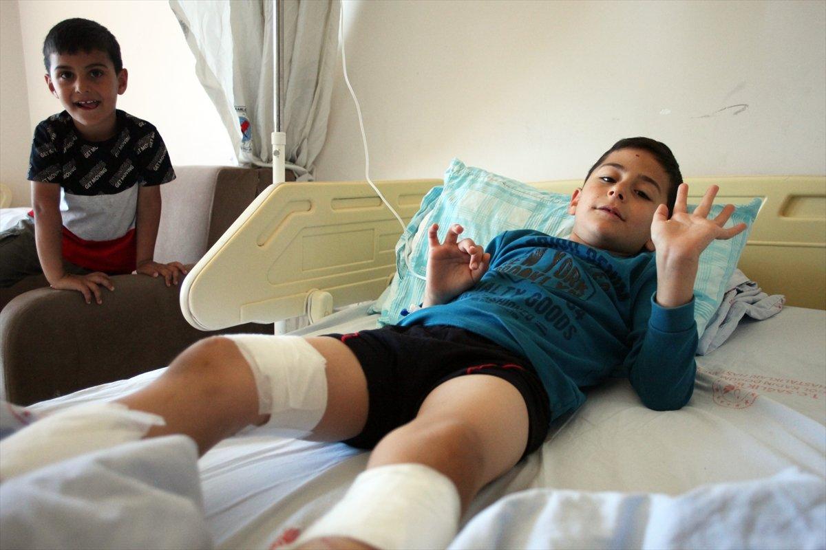 Bingöl'de 7 yaşındaki çocuk, bahçeye giren köpeklerin saldırısına uğradı