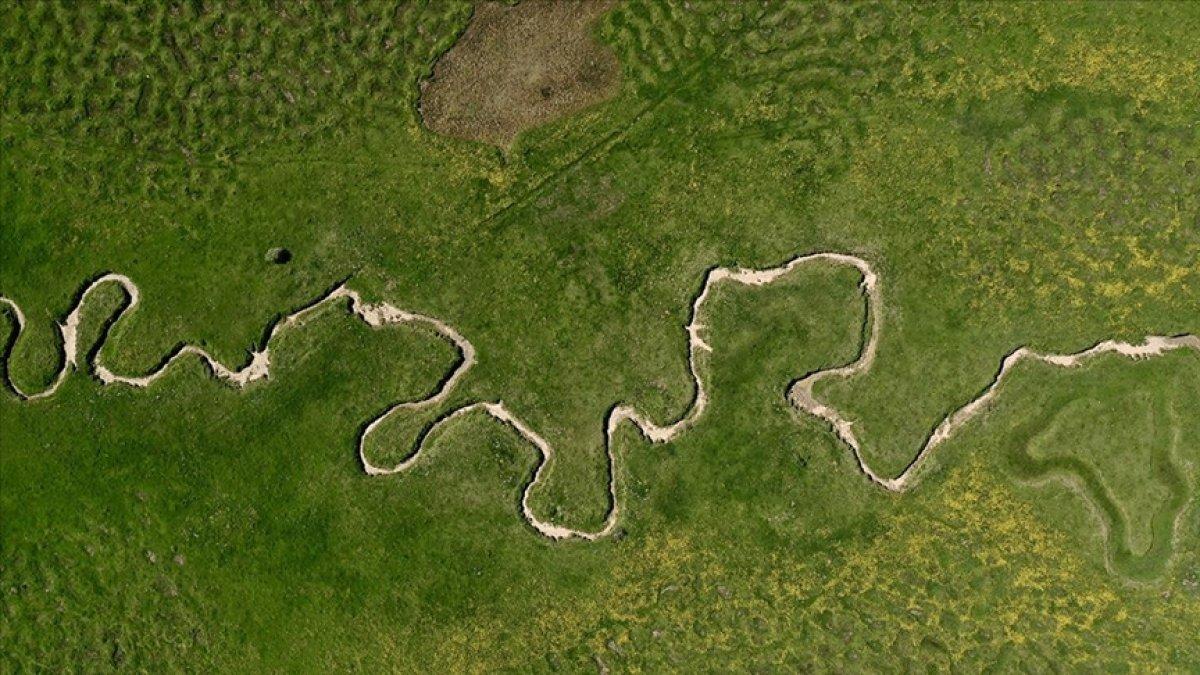 Sakarya'nın eşsiz güzelliği: Karagöl Yaylası