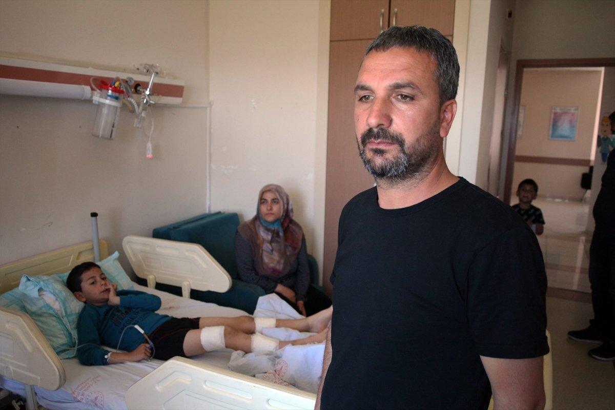 Bingöl'de 7 yaşındaki çocuk, bahçeye giren köpeklerin saldırısına uğradı