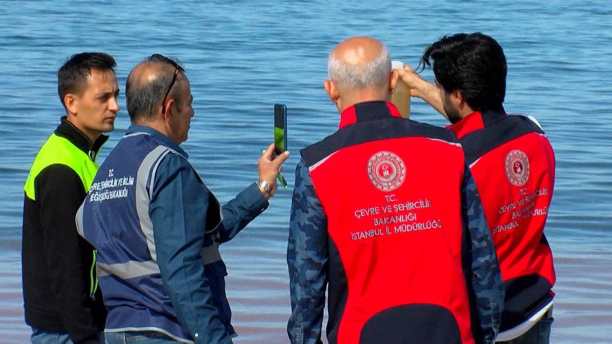 Karadeniz'de korkutan renk değişimi: 'Alg patlaması' sebep oldu