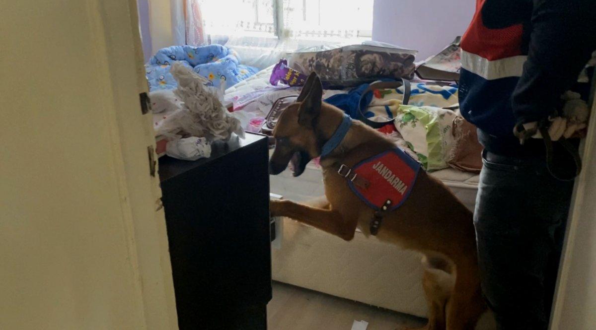 Aksaray'da banyoda, boya kutuları içerisinde kenevir bulundu